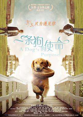 色诱视频网站