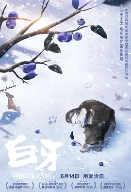 久久深夜福利