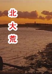 亚洲视频在线观看视频