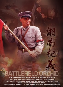 91在线视频直播