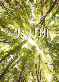 欧美精品视频在线播放